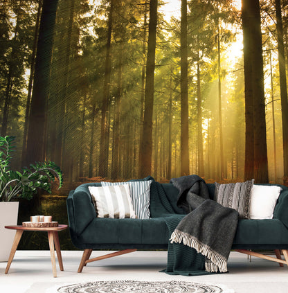Green forest Scene Nature Non-woven Photo Wallpaper Size Selection