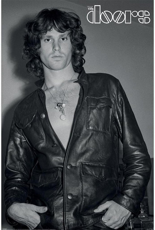 The Doors Jim Morrison Poster The Doors
