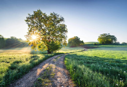 Meadow Trail Green Countryside Dining Room Photo Wallpaper 