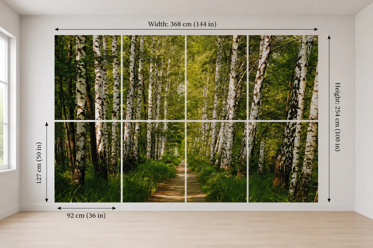 Wall mural of a birch forest with dimensions on a plain wall.