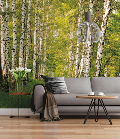 Green Forest Bedroom Photo Wallpaper (W x H) 368cm x 254cm (144" x 100")