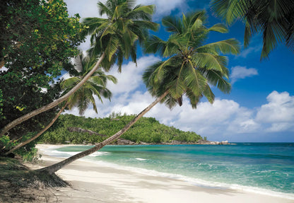 Tropical Scenery Photo Wallpaper (W x H) 368cm x 254cm (144" x 100")