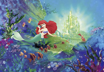 Disney Ariel Mermaid Castle Photo Wallpaper 