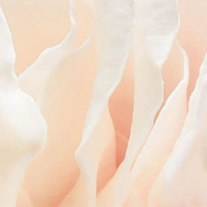 Spring Roses Pink Floral Photo Wallpaper (W x H) 368cm x 254cm (144" x 100")