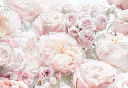 Spring Roses Pink Floral Photo Wallpaper 1
