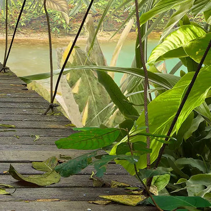 Hanging Rope Bridge in Jungle Photo Wallpaper (W x H) 368cm x 254cm (144" x 100")