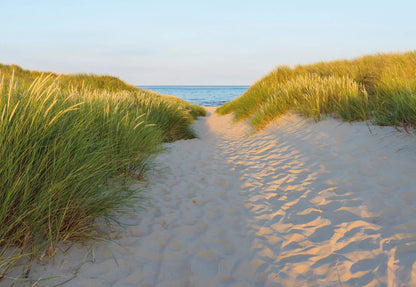 Sandy Path Seaside Beach Scenery Photo Wallpaper (W x H) 368cm x 254cm (144" x 100")