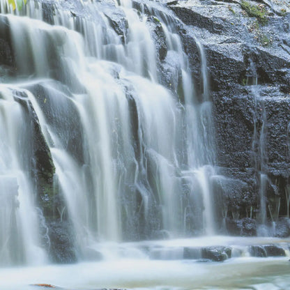 Falls in the Forest Photo Wallpaper (W x H) 368cm x 254cm (144" x 100")