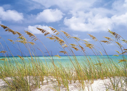 Ocean Breze National Geographic Living Room Photo Wallpaper (W x H) 368cm x 254cm (144" x 100")