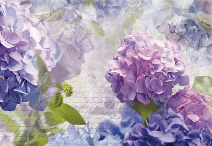 Otaksa Blue and Purple Flowers Photo Wallpaper (W x H) 368cm x 254cm (144" x 100")