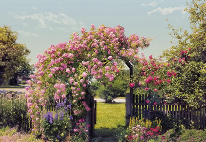 Rose Garden Country Scenery Dining Room Photo Wallpaper