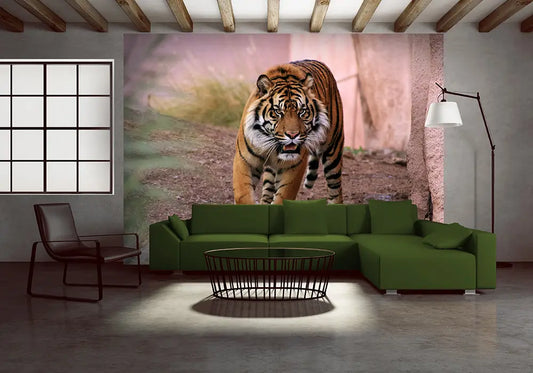 Tiger Lider wild cat Photo Wallpaper 