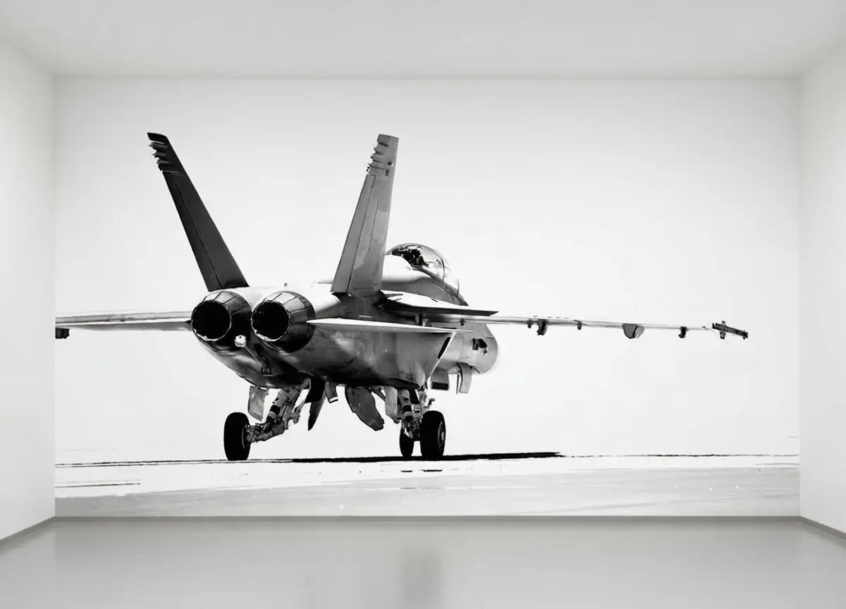 Black and white image of a fighter jet on a white background