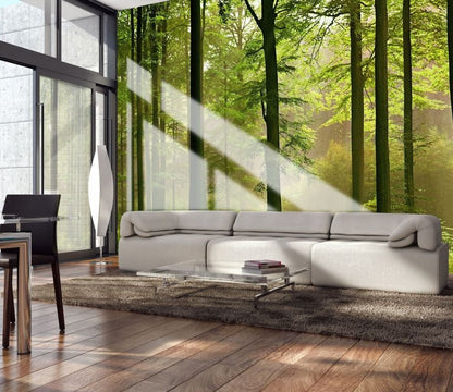 Green Autumn Forest Nature Wallpaper Mural  (W x H) 384 cm x 260 cm (151" x 102")