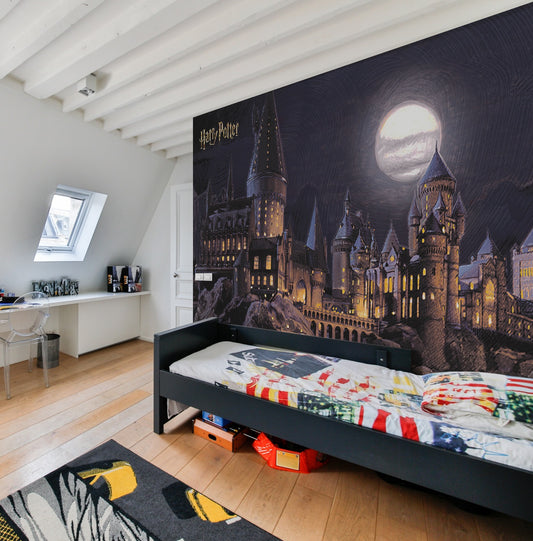 Harry Potter Hogwarts Movie Paper Photo Wallpaper 252x182cm (8'3" x 5'12") W x H