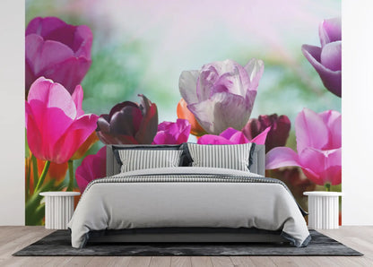 Colourful Tulips Floral Photo Wallpaper