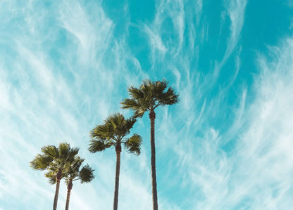 California Sky Bedroom Photo Wallpaper 