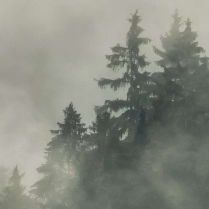 Tales of the Carpathians Foggy Forest Nature Non-woven photo wallpaper 300 cm x 250 cm | 118" x 98"