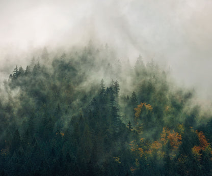 Tales of the Carpathians Foggy Forest Nature Non-woven photo wallpaper 300 cm x 250 cm | 118" x 98"
