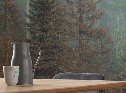Foggy Firs European Forest Scenry Nature Non-woven photo wallpaper 400 cm x 250 cm | 157" x 98"