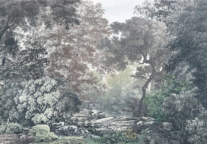 Fairytale Forest Old Trees Nature Non-woven photo wallpaper 400 cm x 280 cm | 157" x 110"