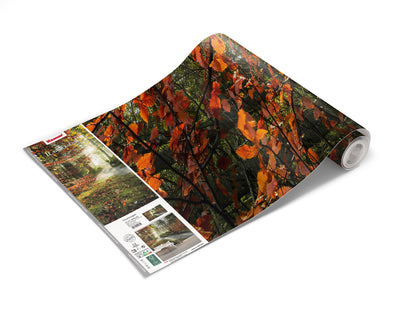 Autumn Forest Scenery Nature Non-woven photo wallpaper 450 cm x 250 cm | 177" x 98"