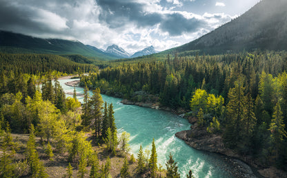 Wild Canada Montain View Nature Non-woven photo wallpaper 450 cm x 250 cm | 177" x 98"