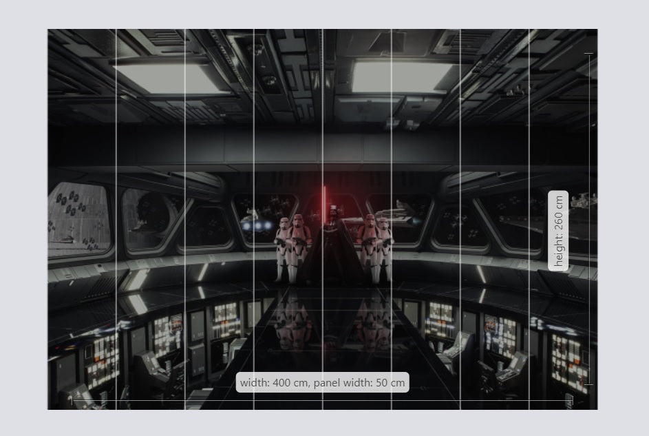 Star Wars Destroyer Deck Vader Non-Woven Wallpaper Mural 400 cm x 260 cm (157" x 102")