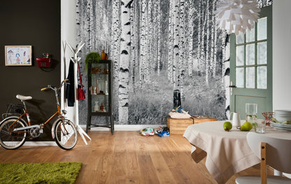 Black and White Trees Forest Nature Non-Woven Wall Mural  (W x H) 368cm x 248cm (144" x 98")