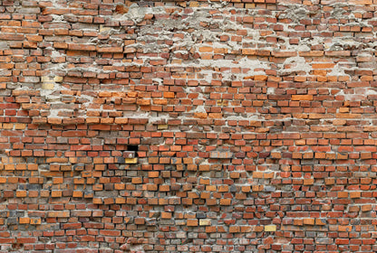 Red Brick Wall Brick Non-Woven Wall Mural  (W x H) 368cm x 248cm (144" x 98")