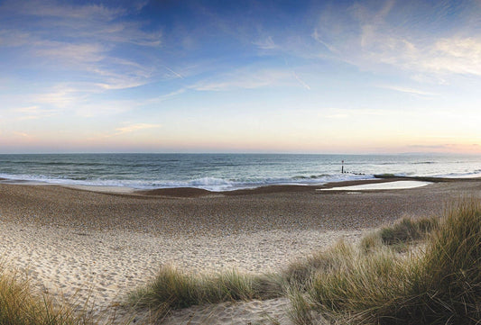 Along the Dune Beach Wallpaper Mural Idealdecor