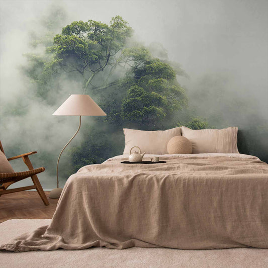 Wall Mural Foggy Amazon Non-woven Photo Wallpaper b-B-0486-a-a