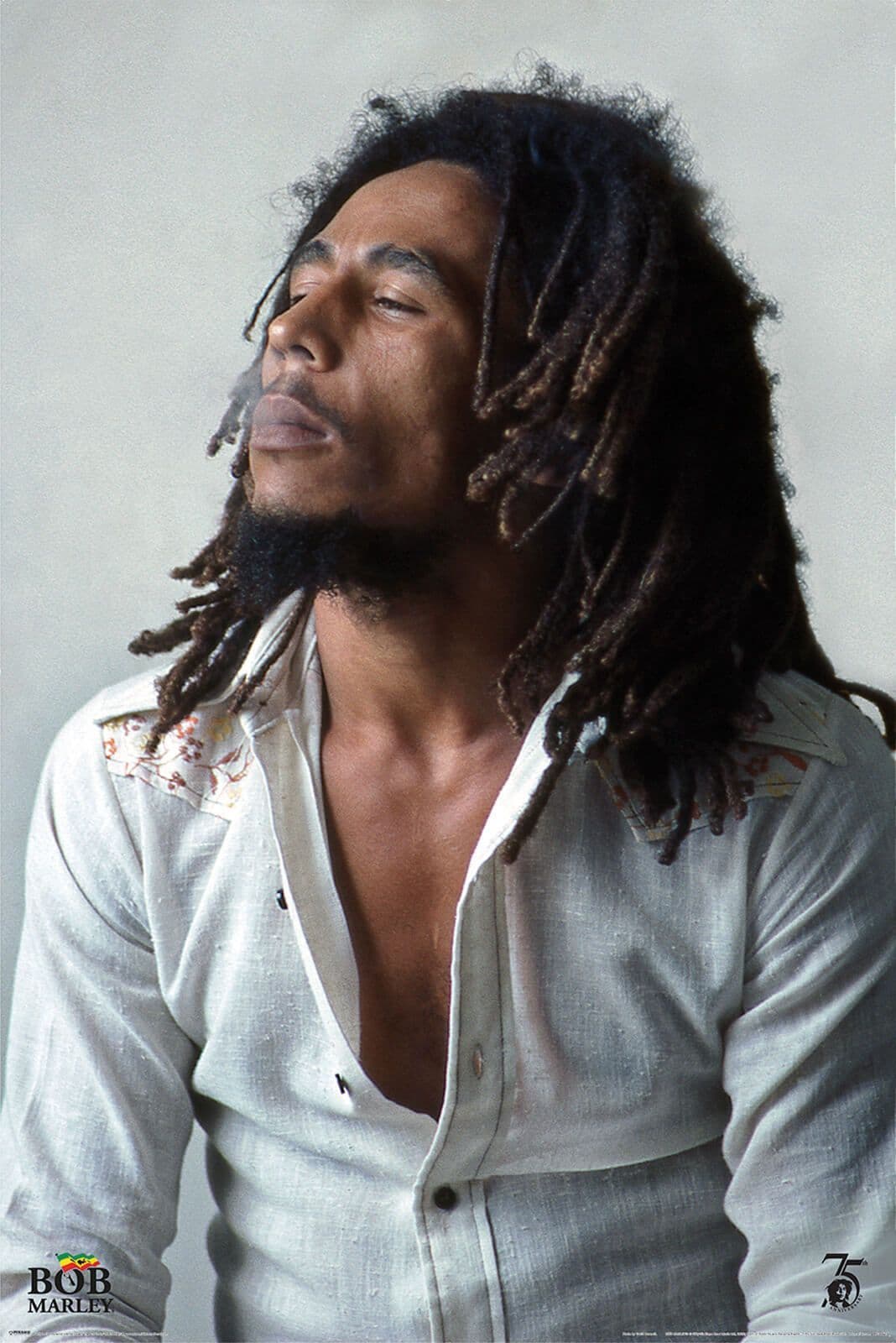 Bob Marley Redemption Poster 