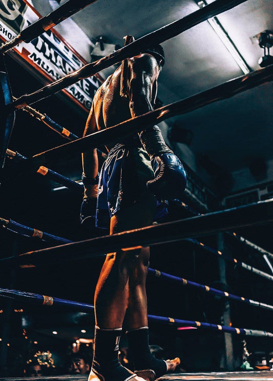 Boxer On The Ring Poster 