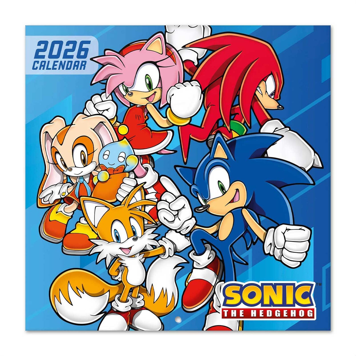 Sonic The Hedgehog Wall Calendar 30x30cm Kids Gamer Calendar Sonic The Hedgehog