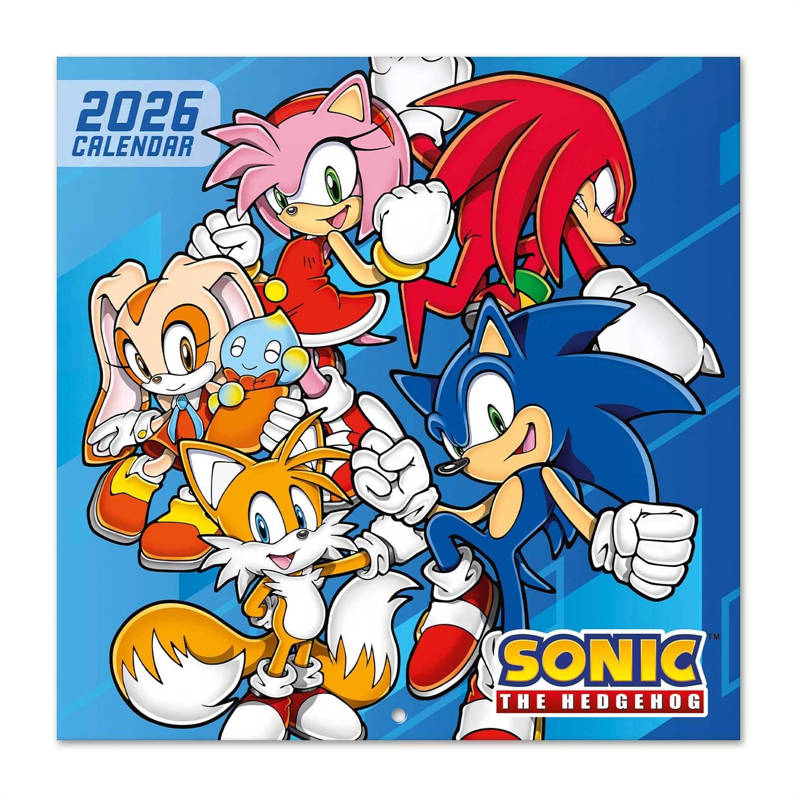 Sonic The Hedgehog Wall Calendar 30x30cm Kids Gamer Calendar Sonic The Hedgehog