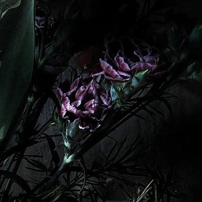 Black Floral Composition Living Room Background Photo Wallpaper closeup