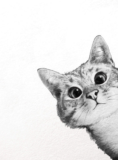 Curious Cat Wallpaper Mural Idealdecor