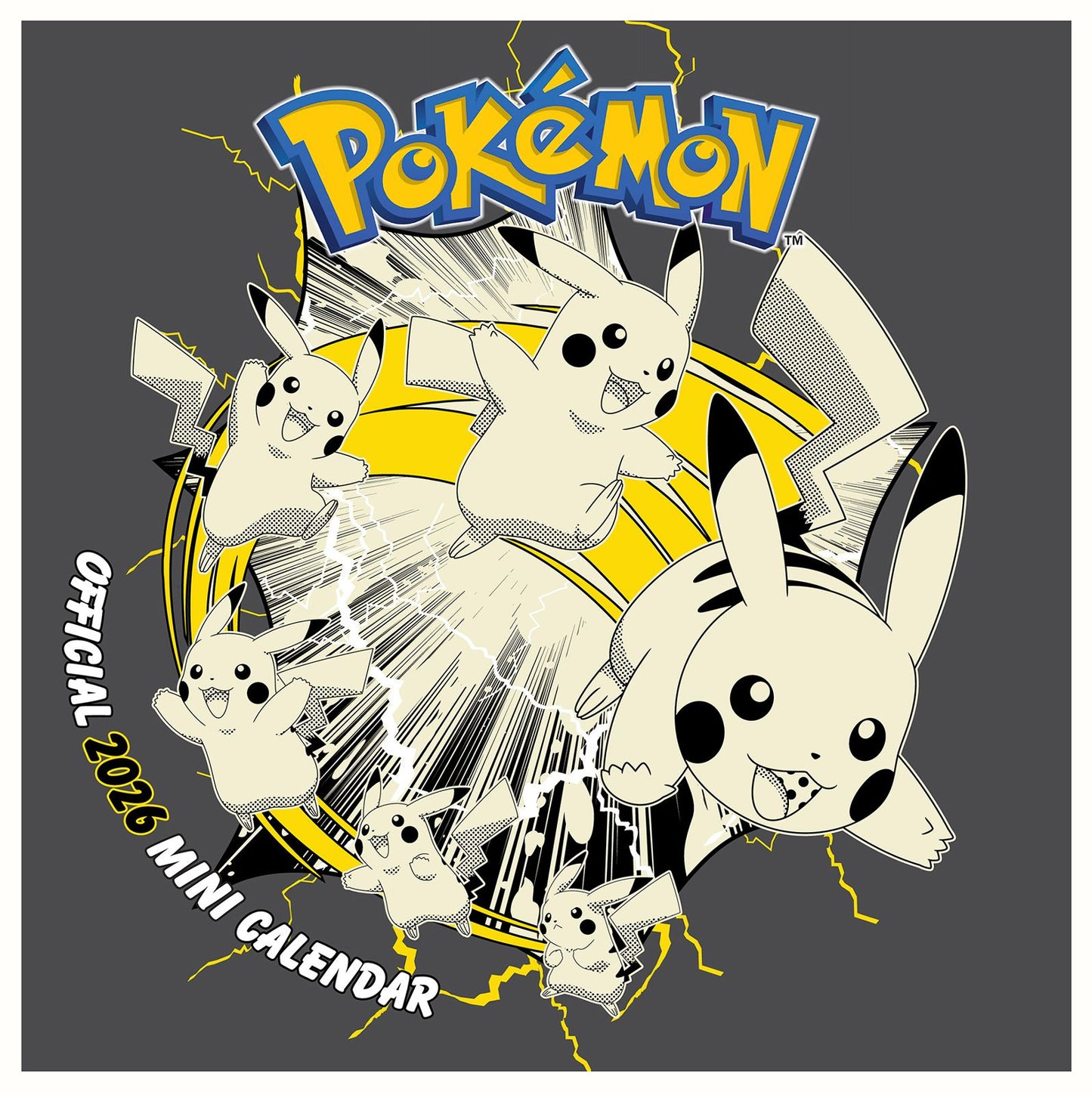 Pokemon Mini Calendar 18x18 cm Pikachu Calendar Pokemon