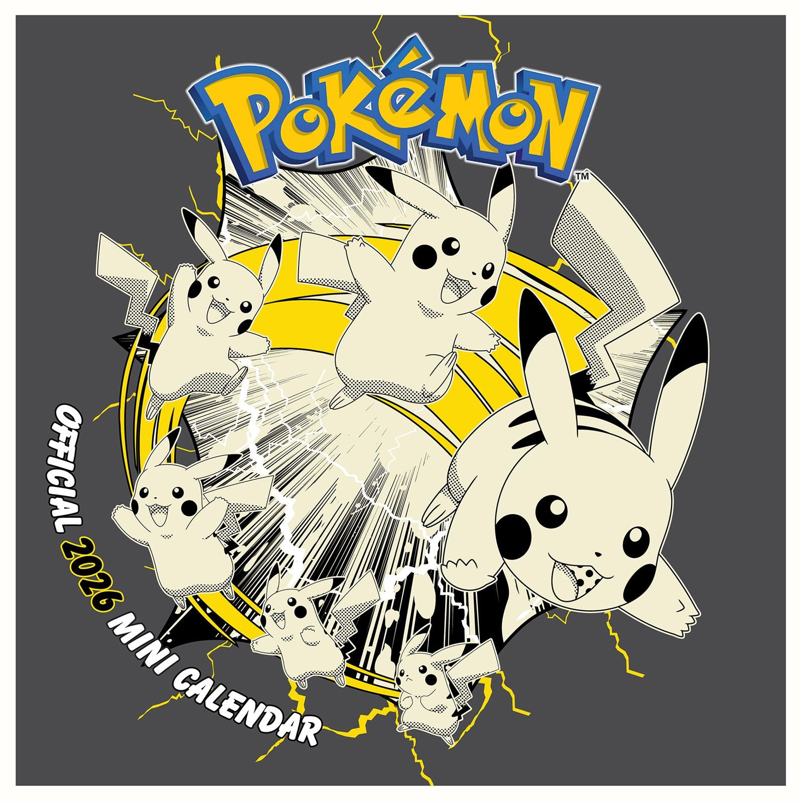 Pokemon Mini Calendar 18x18 cm Pikachu Calendar Pokemon