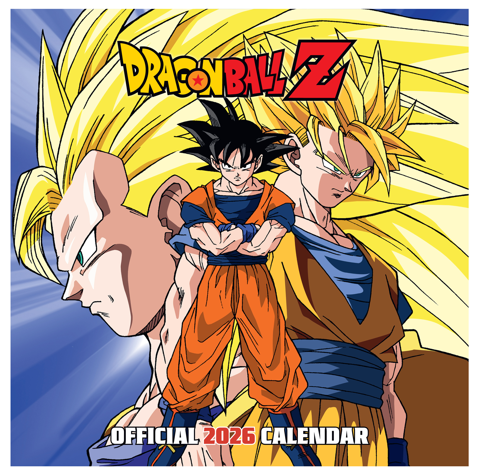 Dragonball Z Wall Calendar 30x30cm Manga Anime Calendar Dragonball Z