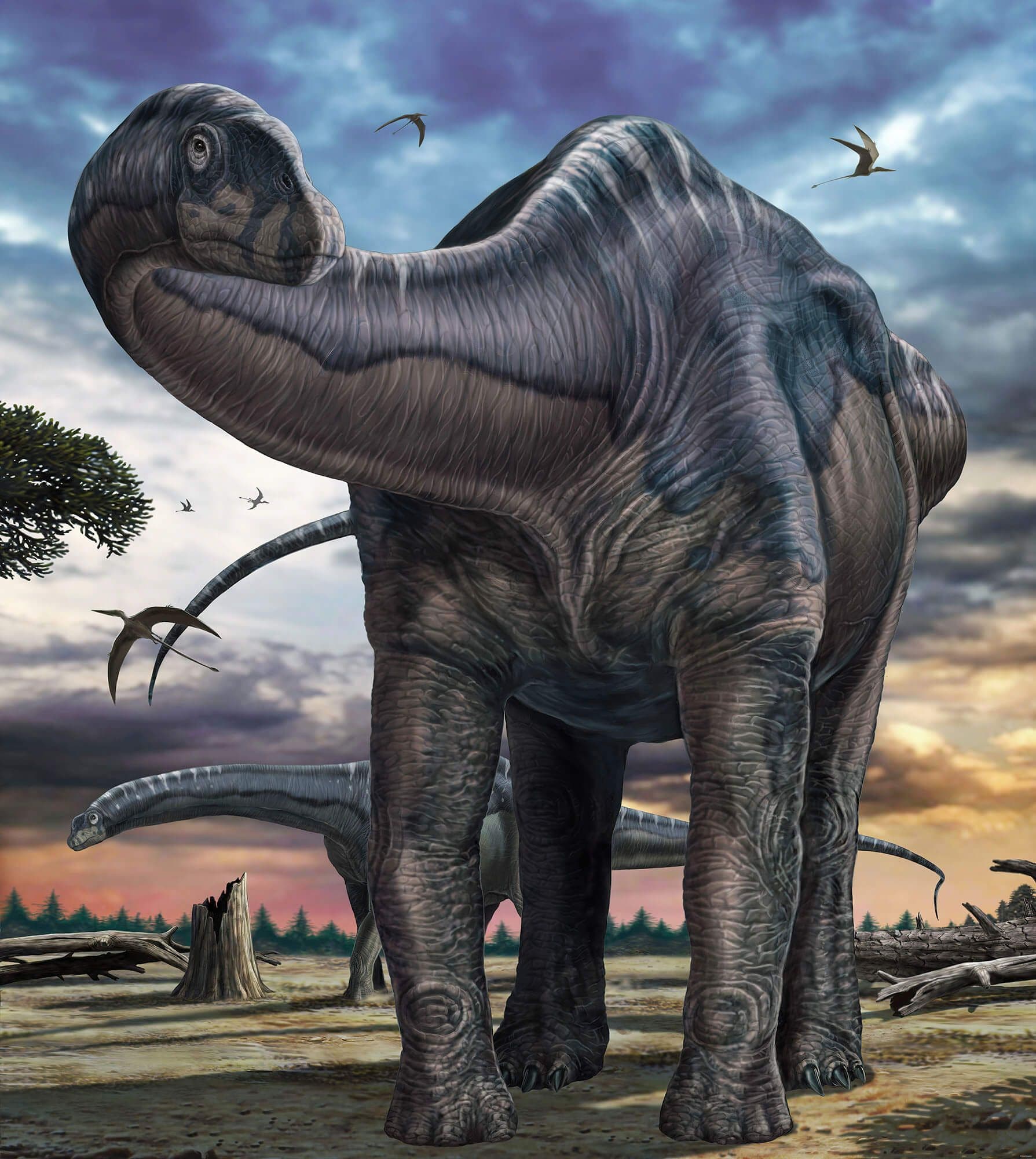 Argentinosaurus, Dinosaur Non-Woven Wallpaper Mural National Geographic