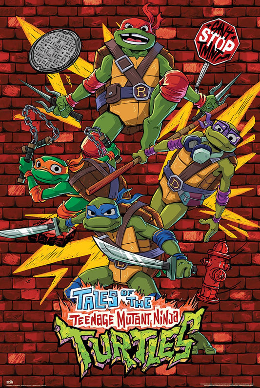 Ninja Turtles Cartoon Poster 