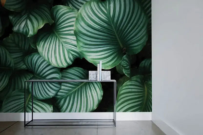 Green Plants Large Leaves Photo Wallpaper Nice Wall
