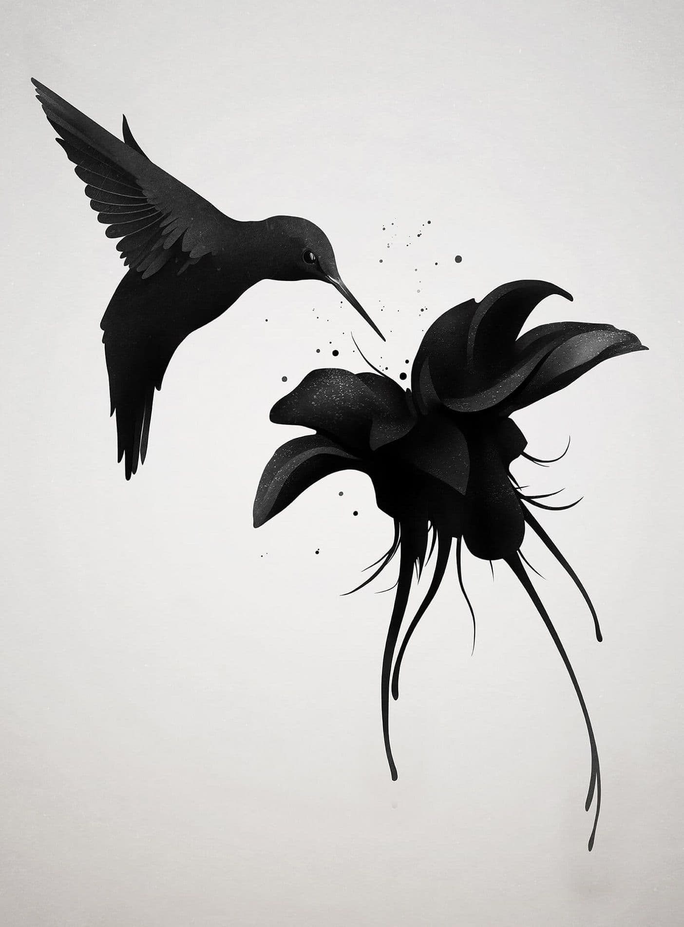 Black Hummingbird Wallpaper Mural Idealdecor