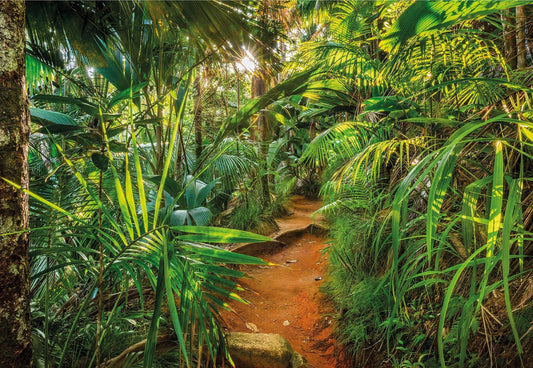Sunny Day in the Jungle Botanical Photo Wallpaper 