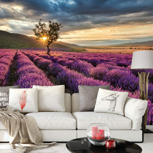 Purple Lavender Fields Sunset Wallpaper Mural Idealdecor