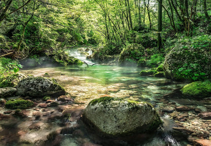 Forest Brook Bedroom Green Photo Wallpaper (W x H) 368cm x 254cm (144" x 100")