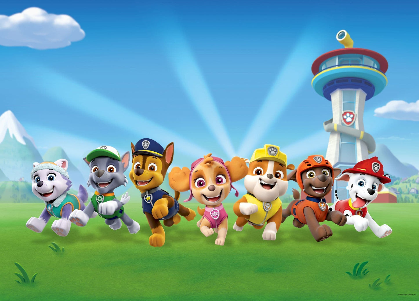 Paw Patrol characters Paper Photo Wallpaper Paw Patrol