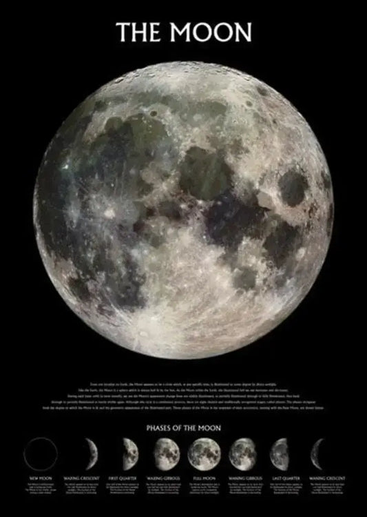 Phases The Moon Poster 